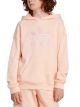 BUZO C/CAPUCHA ADIDAS HOODIE