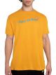 REMERA M/CORTA CONVERSE ENJOY THE BREEZE TEE