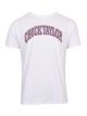 REMERA CONVERSE CHUCK TAYLOR VINTAGE HOMBRE