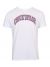 REMERA CONVERSE CHUCK TAYLOR VINTAGE HOMBRE